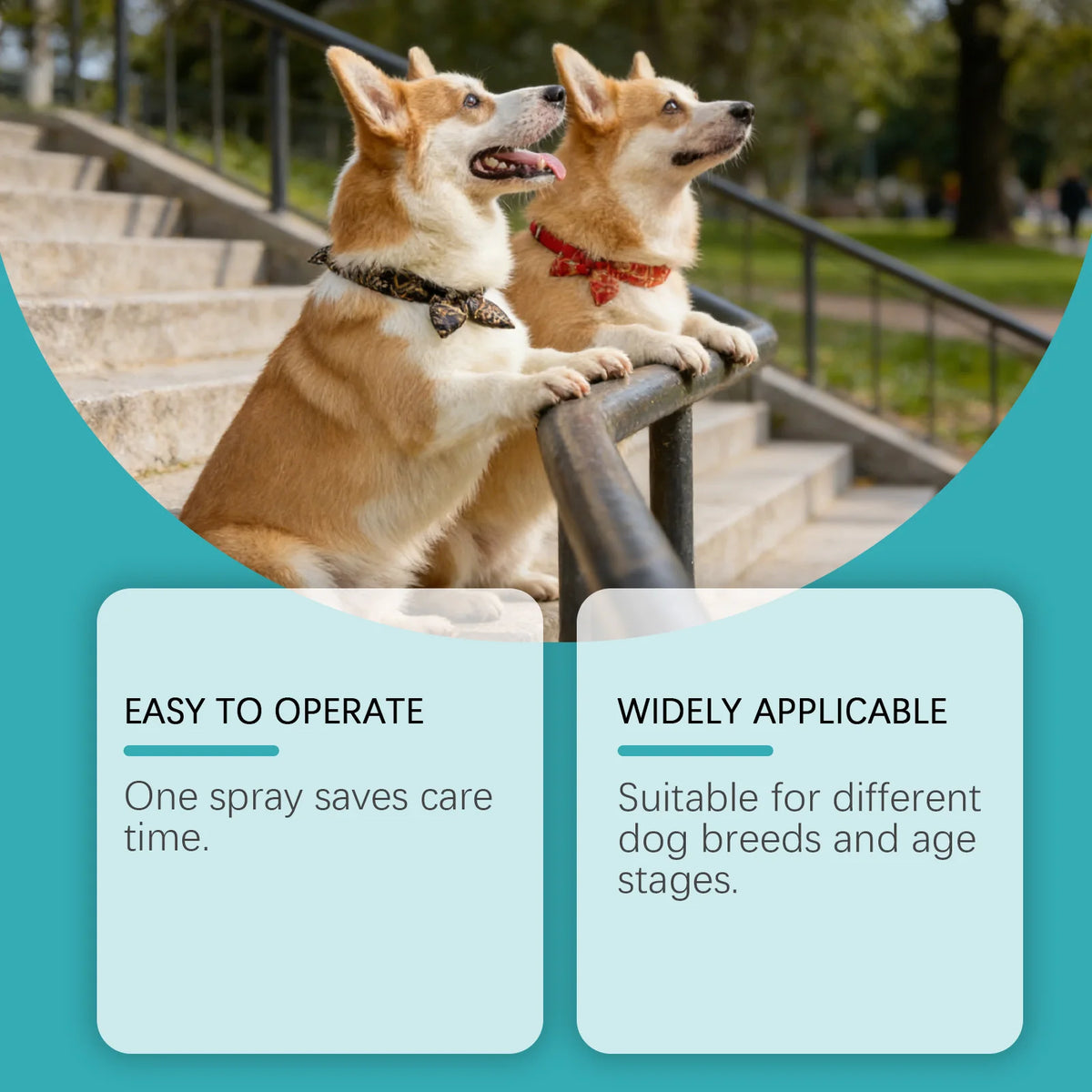 Dog Potty Training Spray Puppy Toilet Training Inducer Effective Positioning Defecation Guide Safe Pet Potty Training Aid Spray