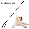 Pet Interactive Stick Dog Whip Dog Training Equipment Interactive Toy Flexible Safety Anti Bite Accessories