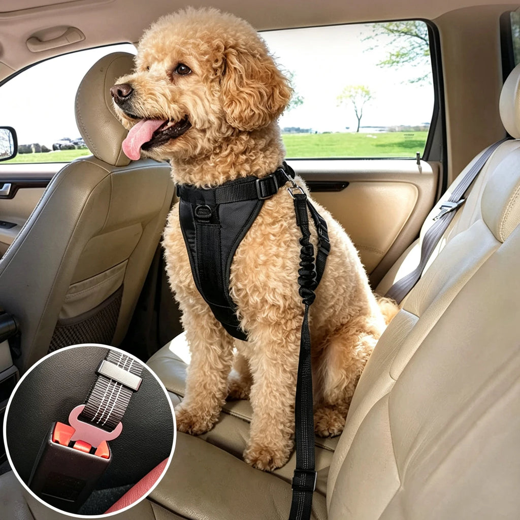 Pet Car Safety Belt Accessories for Dog Supplies Pets Collar Dogs Choker Small Breed Collars Harness Guard Things Puppy Big Home