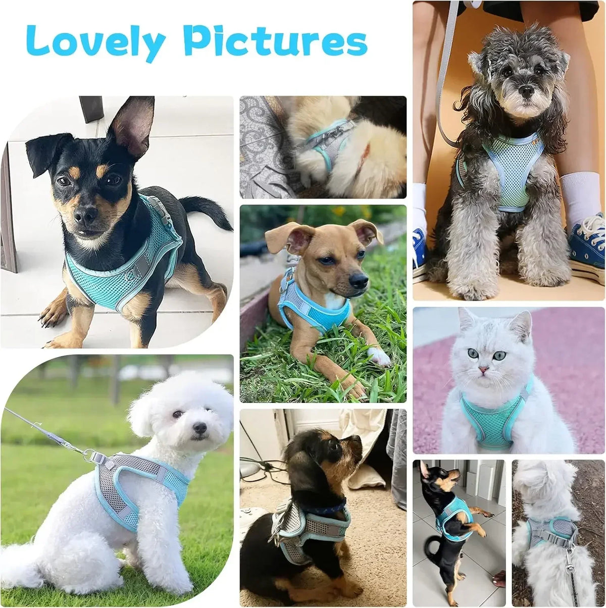 Adjustable Pet Harness and Leash Set for Small Dogs Cats Breathable Soft Mesh Vest Harness Puppy Pug Bulldog Walking Accessories