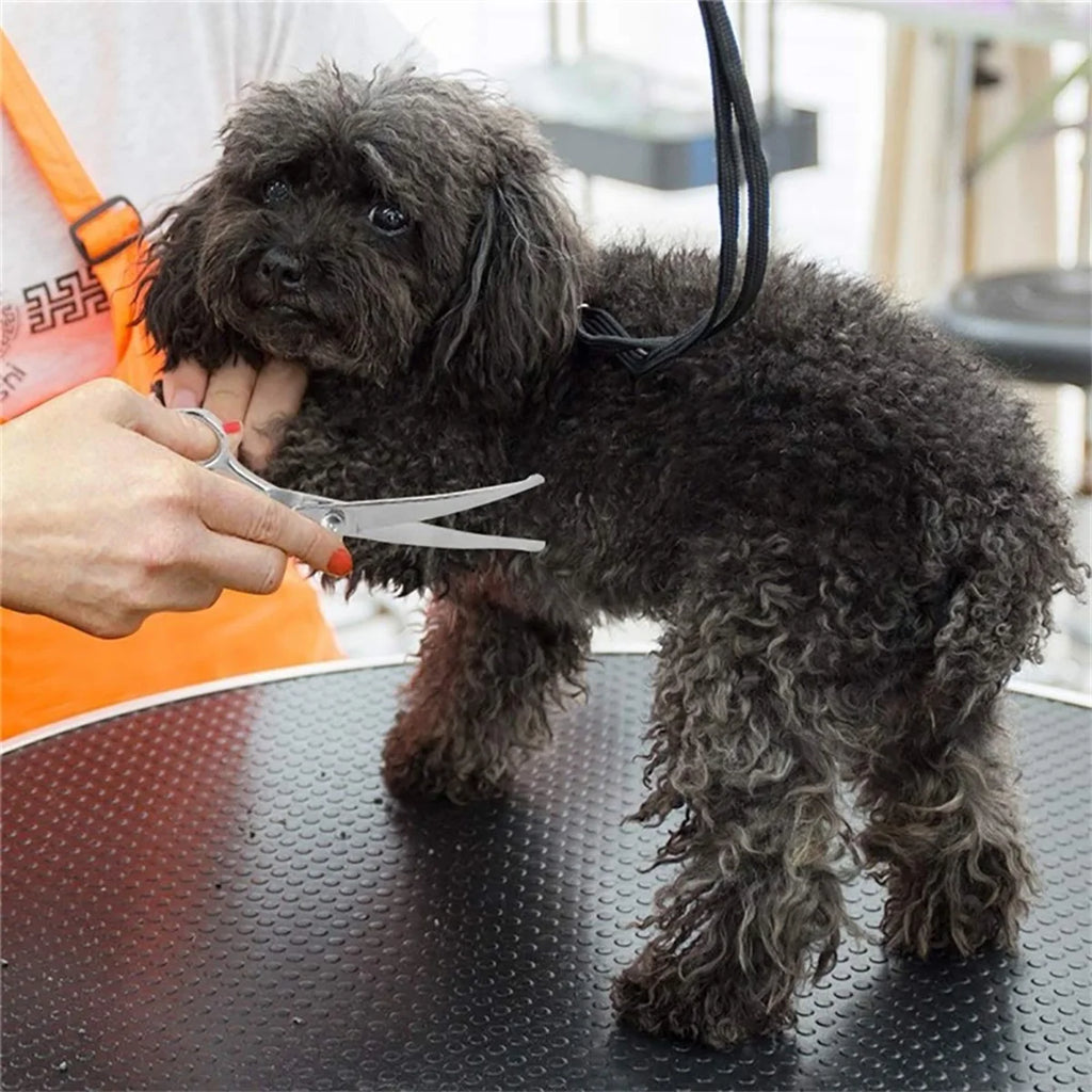 Pet Grooming Scissors Round Tip Dog/Cats Grooming Shears Pet Body Fur Thinning Shears Edge Trimming Hairdressing Cutting Tools