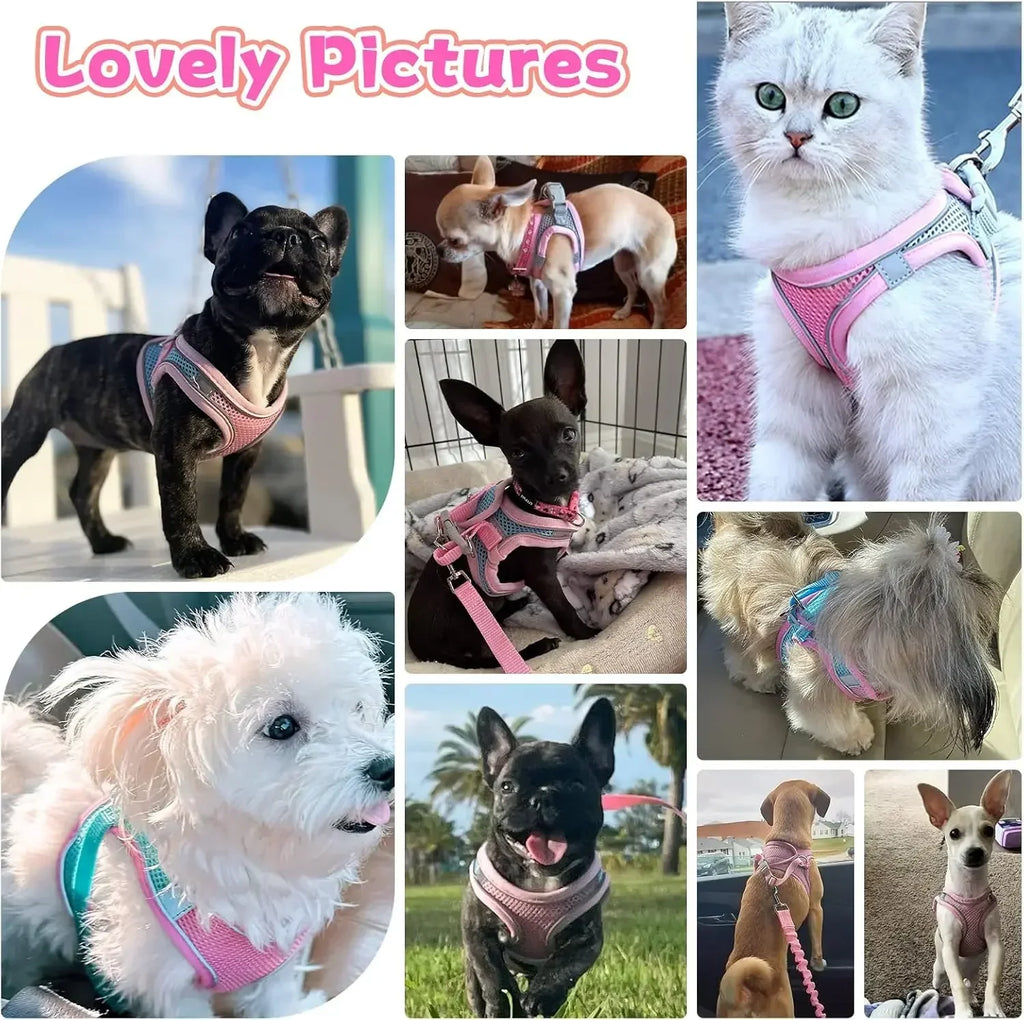 Adjustable Pet Harness and Leash Set for Small Dogs Cats Breathable Soft Mesh Vest Harness Puppy Pug Bulldog Walking Accessories