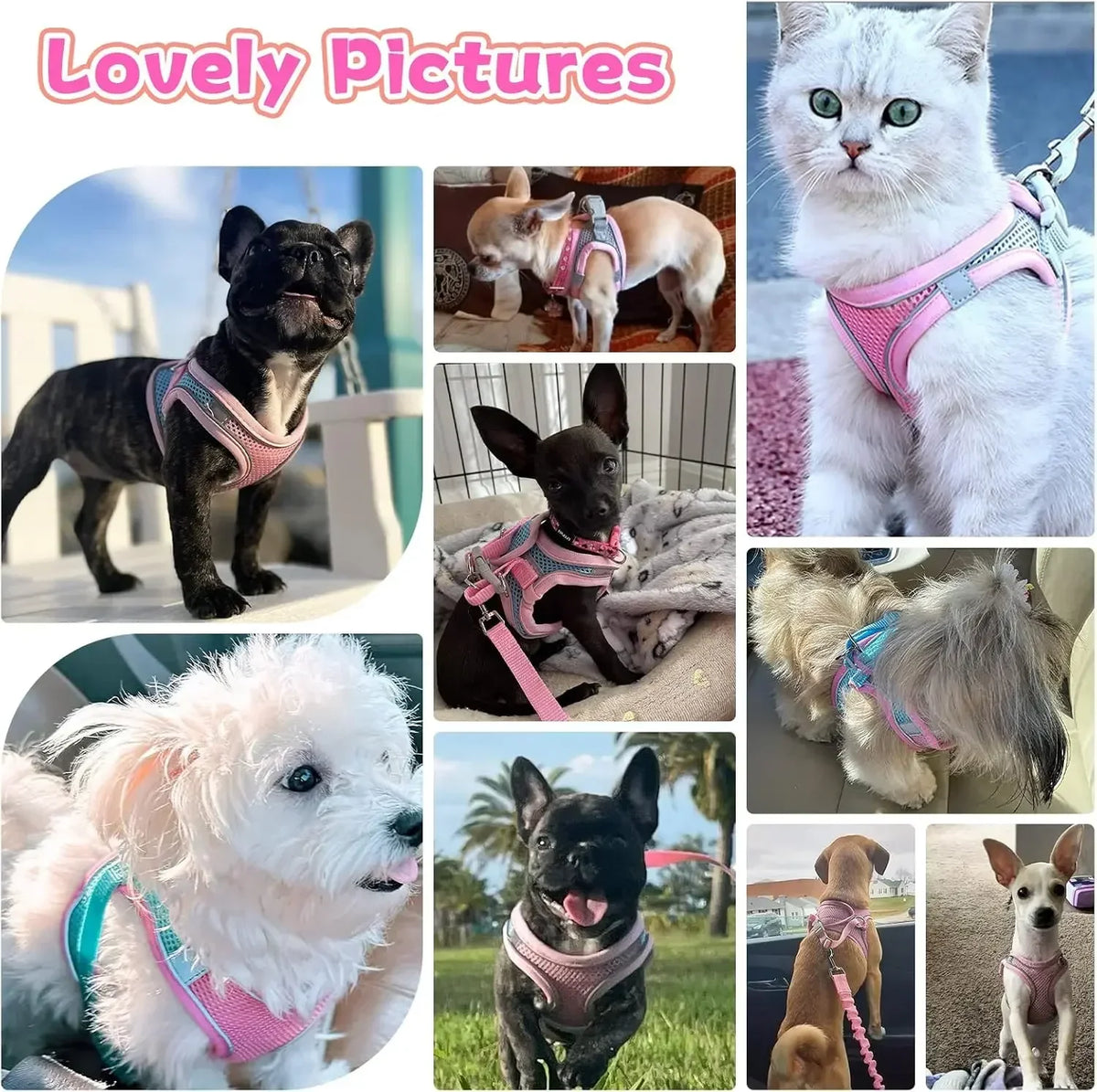 Adjustable Pet Harness and Leash Set for Small Dogs Cats Breathable Soft Mesh Vest Harness Puppy Pug Bulldog Walking Accessories