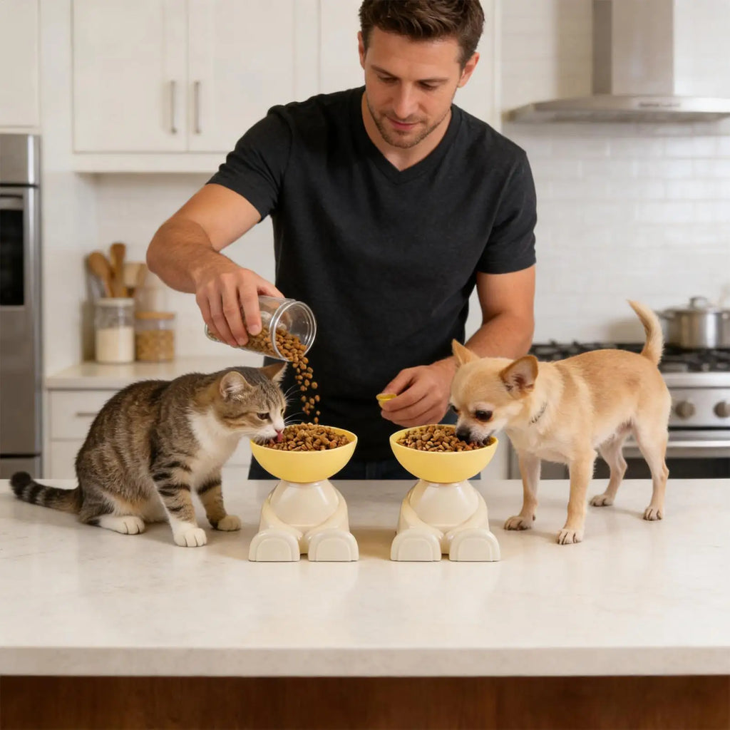 Cat Feeding Bowls Dog Food Bowl Raised Food Feeding Dish for Pet Non-Slip Pet Feeder for Kitchen Vacation Apartment Indoor