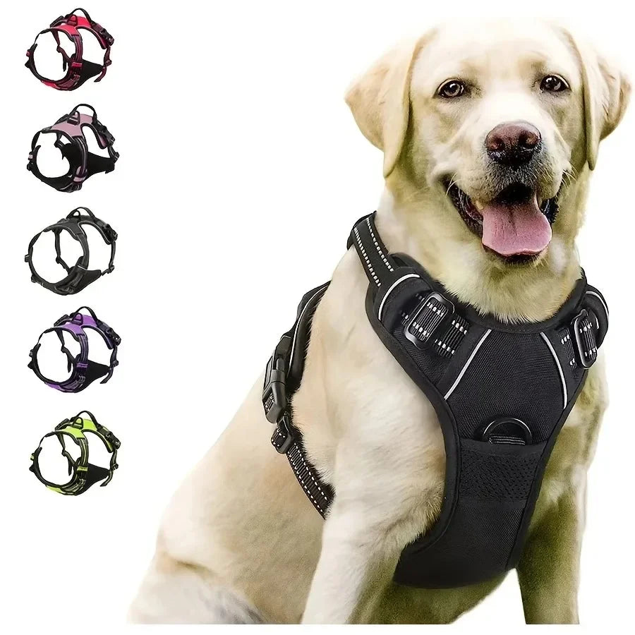 Dog Collars Harness Big Vests Leash Pet Shop Everything for Dogs Leather Puppy Accessories Medium Small Set SIZE L