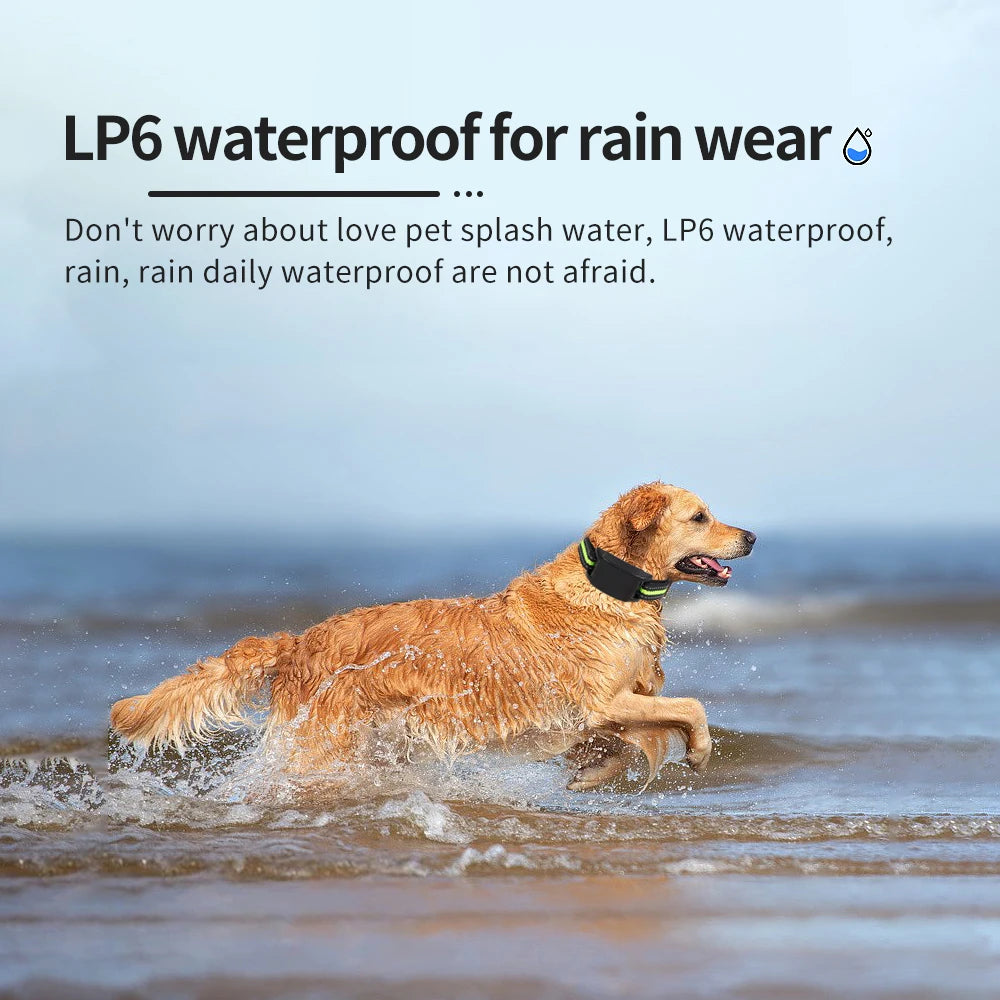 Pet Dog Training Collars Auto Anti-Bark Collar USB Rechargeable 7 Intensities Safety Static Shock Humane Sound Sensor