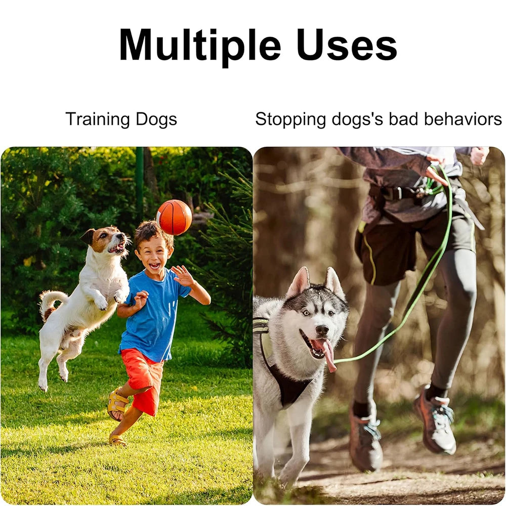 Dog Whistle Pet Training Whistle Stainless Steel Silver Portable Adjustable Ultrasonic Cat/Dog Behavior Training Aid Tool