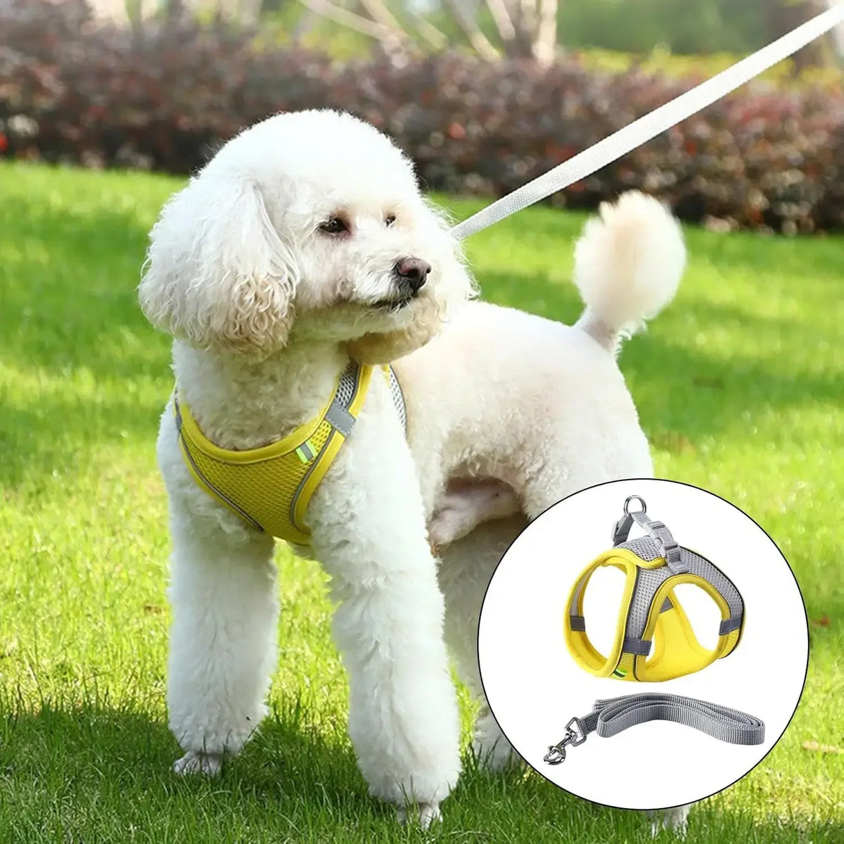 Adjustable Pet Harness and Leash Set for Small Dogs Cats Breathable Soft Mesh Vest Harness Puppy Pug Bulldog Walking Accessories