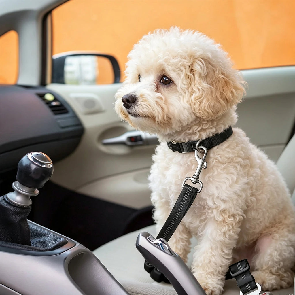 Pet Car Safety Belt Accessories for Dog Supplies Pets Collar Dogs Choker Small Breed Collars Harness Guard Things Puppy Big Home