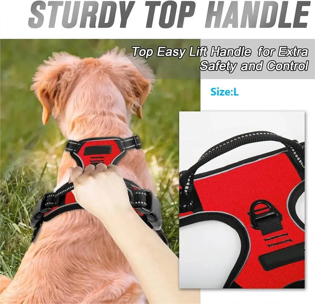 Dog Collars Harness Big Vests Leash Pet Shop Everything for Dogs Leather Puppy Accessories Medium Small Set SIZE L