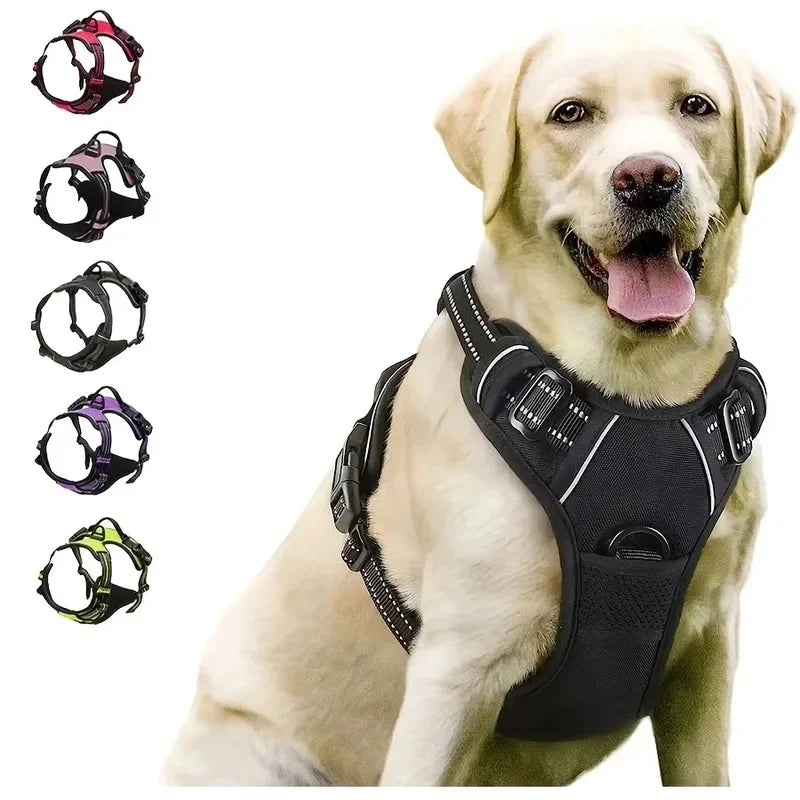 Dog Collars Harness Big Vests Leash Pet Shop Everything for Dogs Leather Puppy Accessories Medium Small Set SIZE L