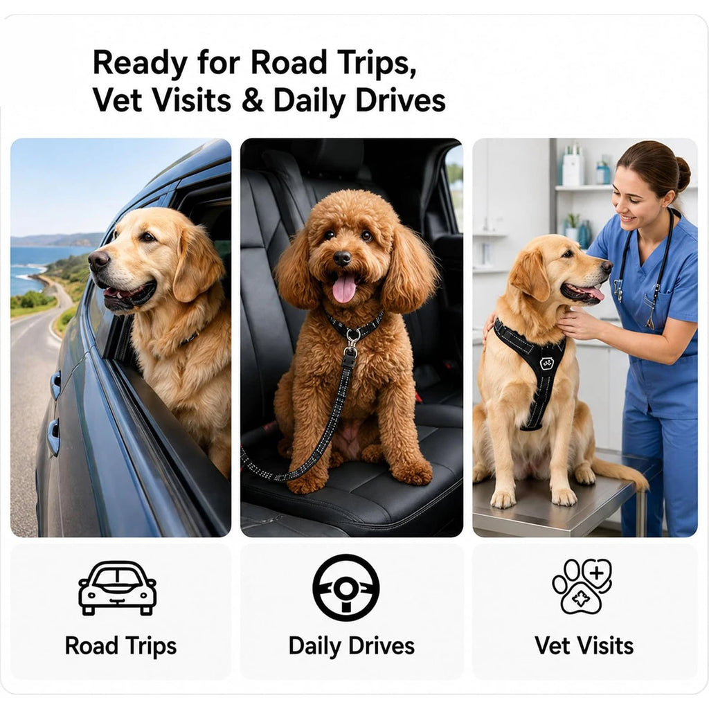 Pet Car Safety Belt Accessories for Dog Supplies Pets Collar Dogs Choker Small Breed Collars Harness Guard Things Puppy Big Home