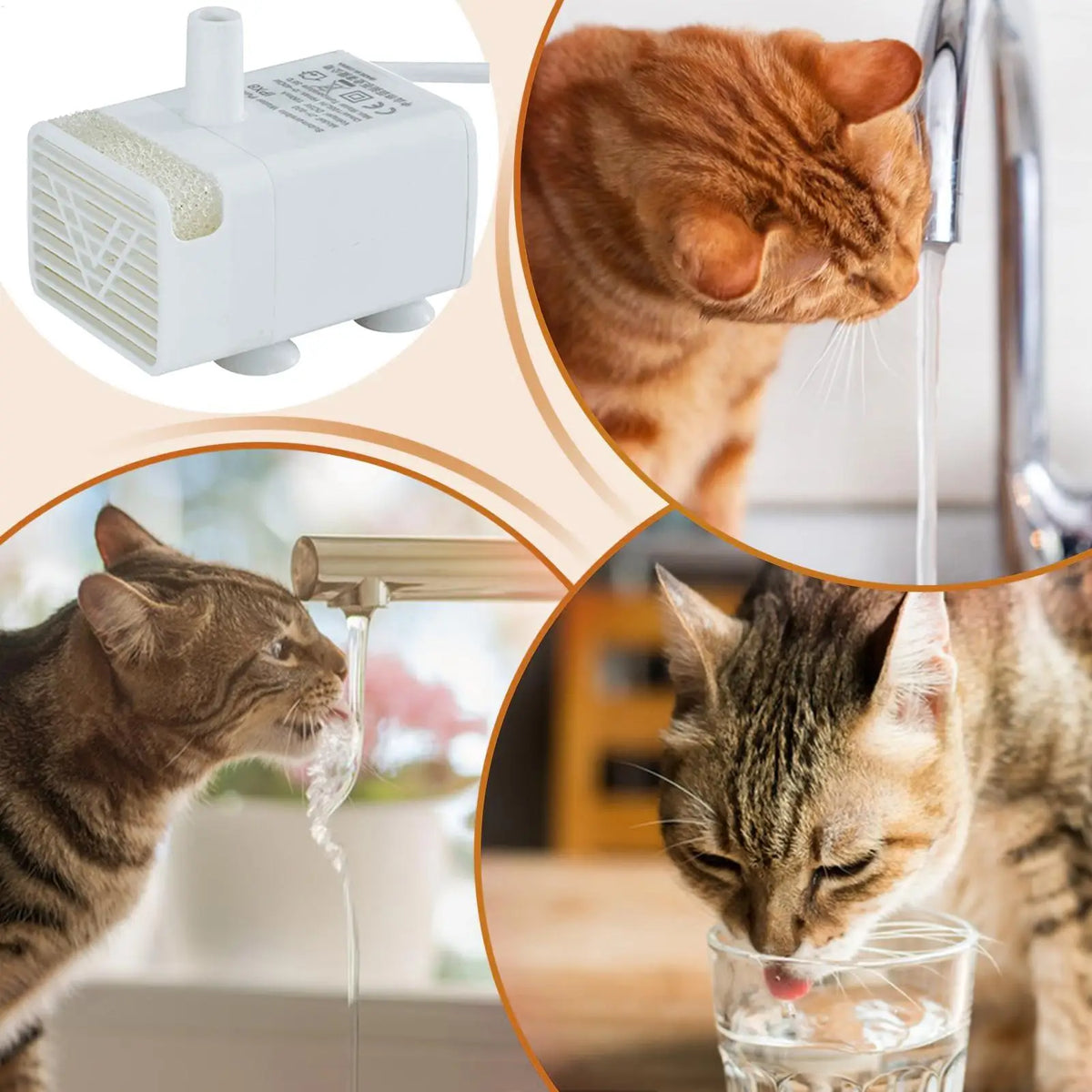 Pet Cat Water Fountain Pump Replacement