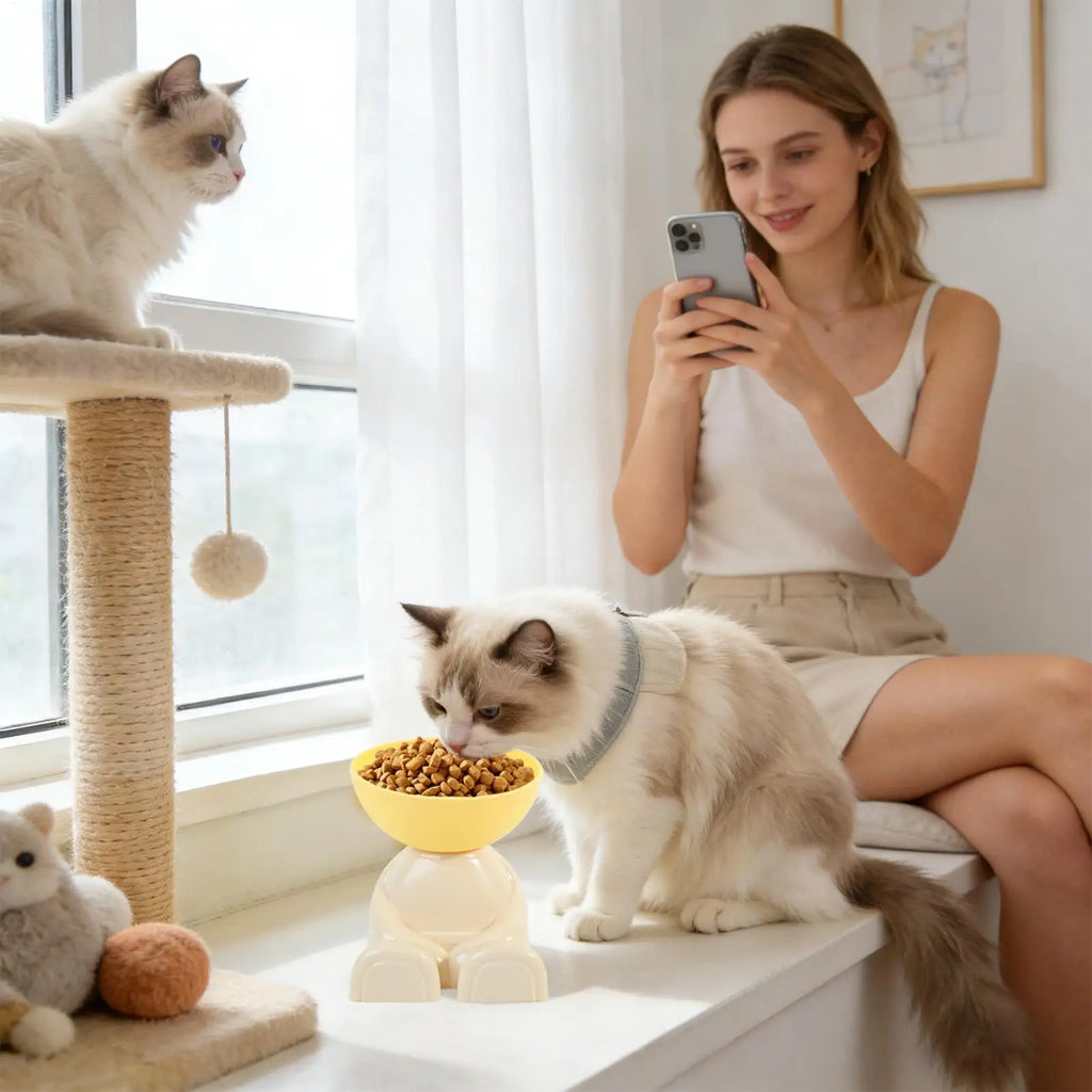 Cat Feeding Bowls Dog Food Bowl Raised Food Feeding Dish for Pet Non-Slip Pet Feeder for Kitchen Vacation Apartment Indoor