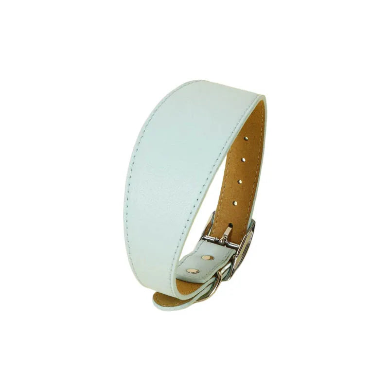 Wide Leather Dog Collar for Small Medium Large Dogs, Greyhound Deerhound Lurcher Whippet Dachshund Collar Pet Accessories