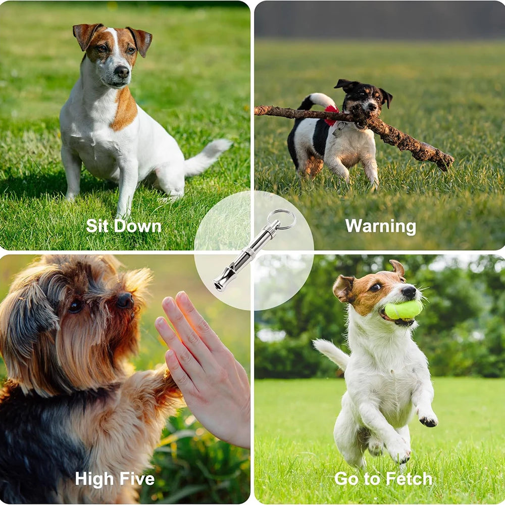 Dog Whistle Pet Training Whistle Stainless Steel Silver Portable Adjustable Ultrasonic Cat/Dog Behavior Training Aid Tool