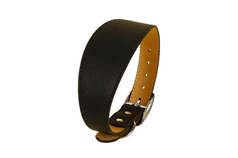 Wide Leather Dog Collar for Small Medium Large Dogs, Greyhound Deerhound Lurcher Whippet Dachshund Collar Pet Accessories