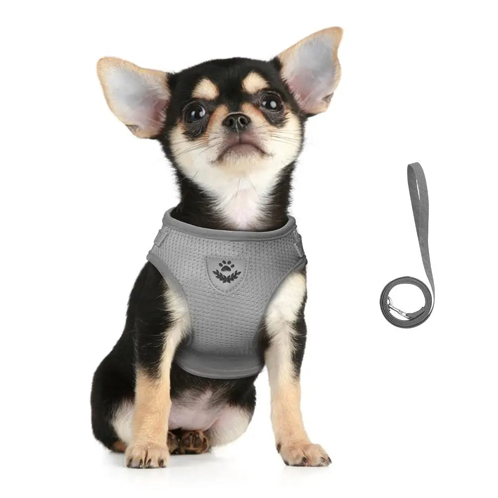 Pet Cat Leash Set, Adjustable Reflective Anti-Escape Pet Harness Vest, Small Dog Collar, Puppy Cat Pet Supplies