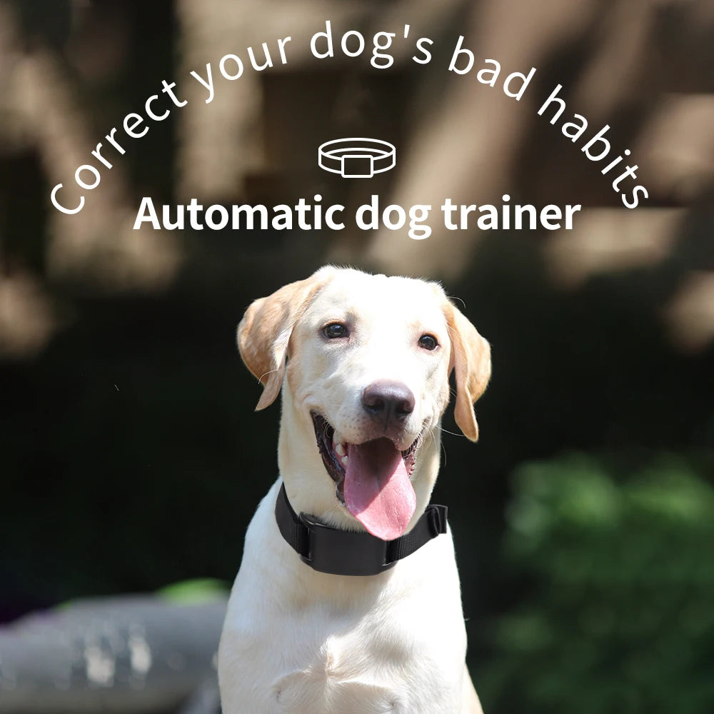 Pet Dog Training Collars Auto Anti-Bark Collar USB Rechargeable 7 Intensities Safety Static Shock Humane Sound Sensor